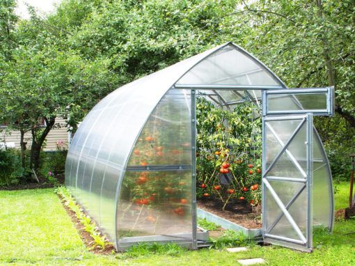 4 Incredible Benefits Of Owning A Greenhouse post thumbnail image