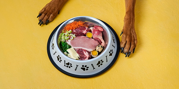 Finding High-Quality raw Dog Food Brands post thumbnail image