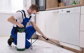 Make Sure You Have the Right Pest control Solution for Your Home in Las Vegas post thumbnail image