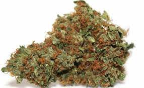 Find Affordable Prices on All Types of Marijuana in Canada post thumbnail image