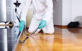 Trustworthy and Effective Solutions to Your Pest Problems in Las Vegas post thumbnail image