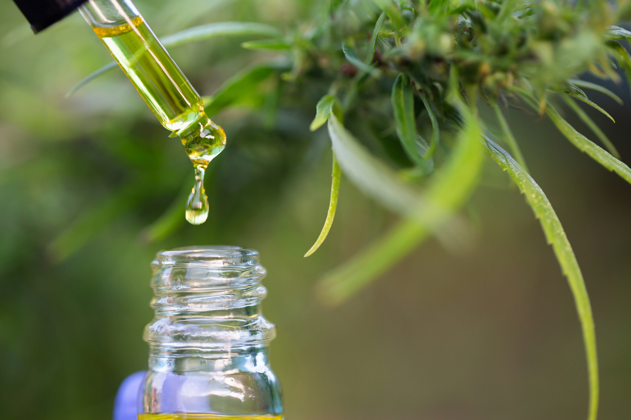 Ensuring the Safety of Your CBD Products Through Testing post thumbnail image