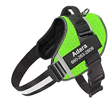 Are No-Draw Harnesses Helpful For Your Dog? post thumbnail image