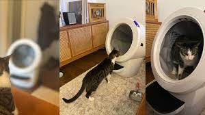 Tips for Making the Most Out of Your Litter Robot post thumbnail image
