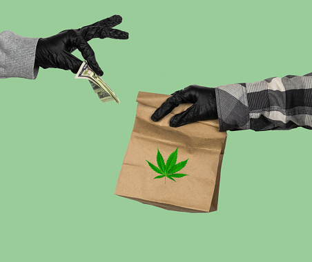 Trustworthy Weed Delivery Service for Residents of Hamilton post thumbnail image