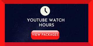 Understand the Difference Between Viewers and Youtube Watch Hours post thumbnail image