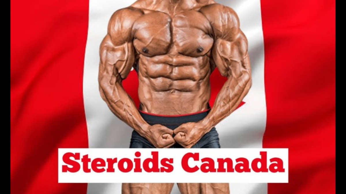 Potential Up and Increase Your Workout routines with Canadian Steroids post thumbnail image