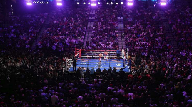 The Thrill of a Good Fight: The Best Streaming Services for Watching Professional Boxing Matches post thumbnail image