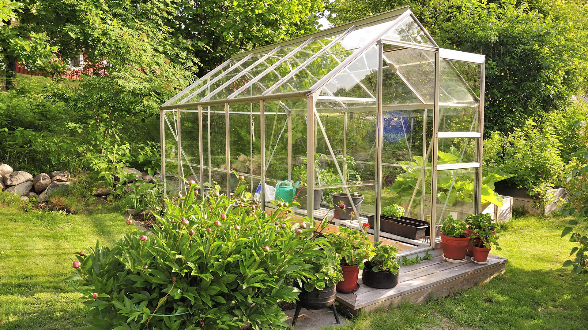 Greenhouse Horticulture: Greenhouses Make Expanding Entertaining and simple post thumbnail image