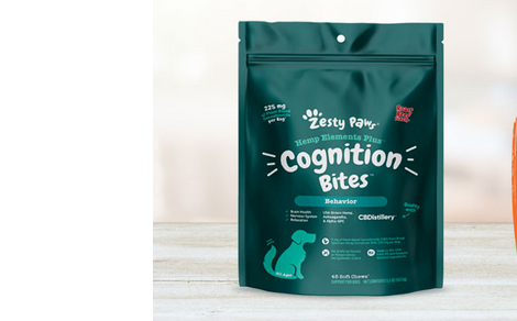 Are Cbd dog treats Safe for Dogs with Anxiety? post thumbnail image