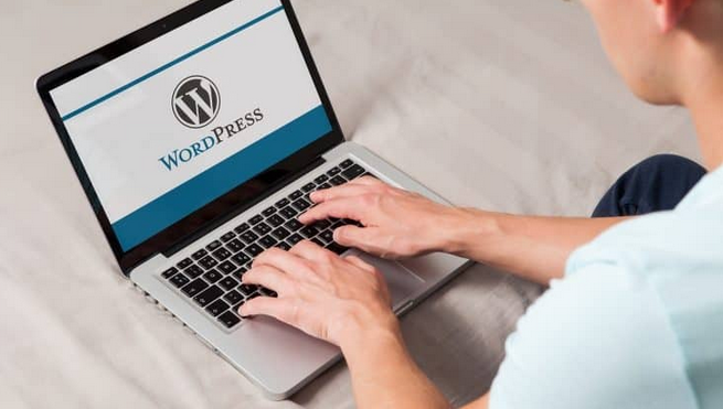 The Benefits of Getting a WordPress Consultant post thumbnail image