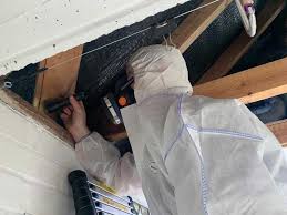 Asbestos Surveyors: Experts in Hazard Identification post thumbnail image